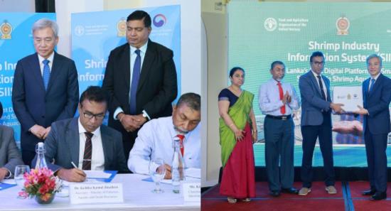 Sri Lanka Embraces Tech For Shrimp Farming